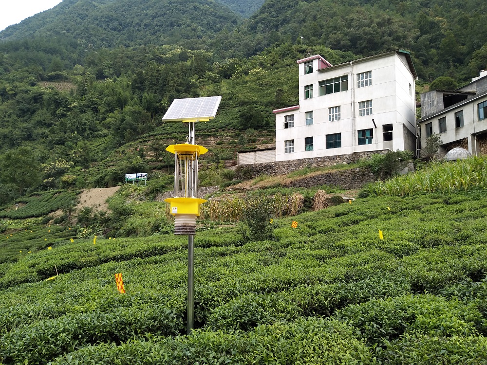 自清蟲(chóng)殺蟲(chóng)燈