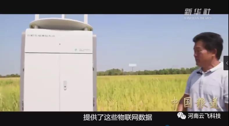 新華社《中國糧道》報道|云飛植保信息化系統在安徽科學(xué)院示范基地的應用